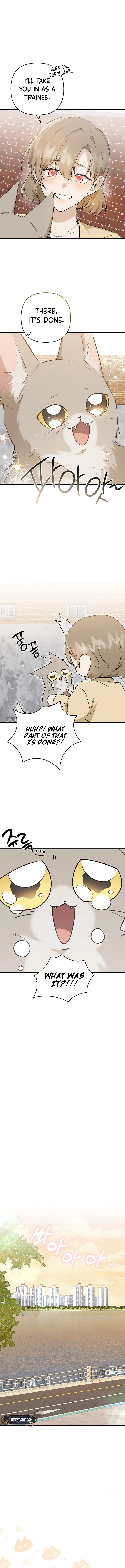 As of Today, I'm the Butler for Five Men Chapter 3 Page 10