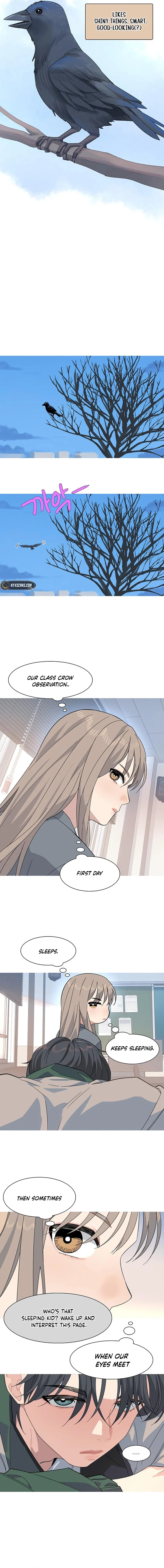 Chronicle of Youth Chapter 2 Page 13