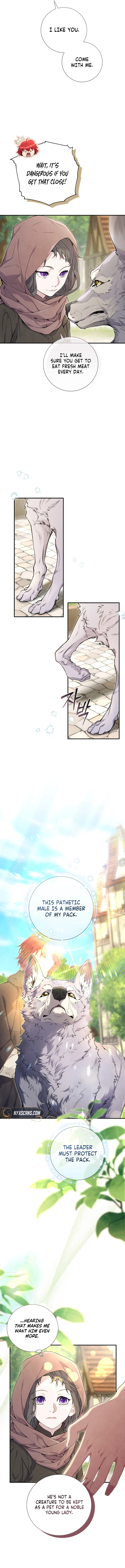 Don't look for the resurrected villain Chapter 7 – Chapter 7 Page 11