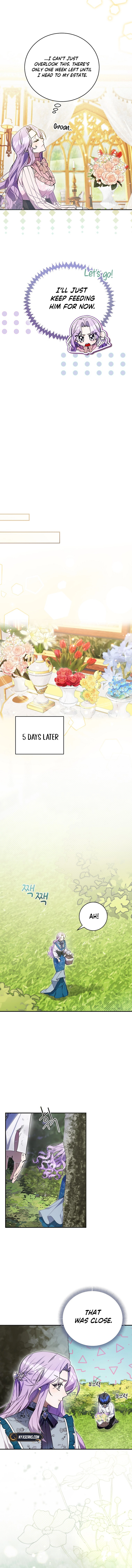 For the Young Villain’s Happy Ending Chapter 2 Page 9