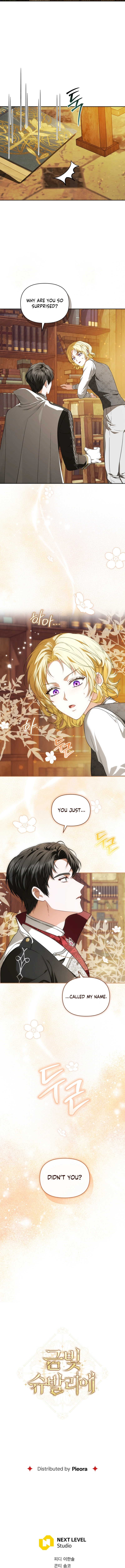 Golden Chevalier Chapter 13 Page 14