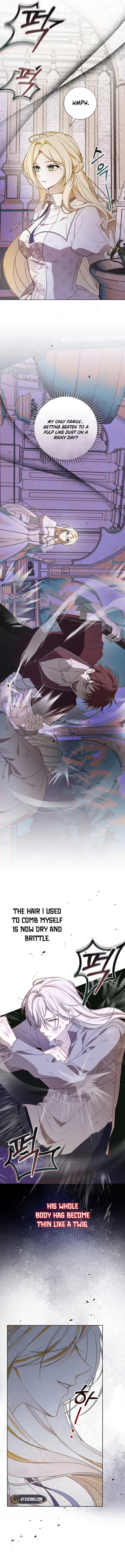 I Healed The Male Lead's Trauma Chapter 2 Page 7