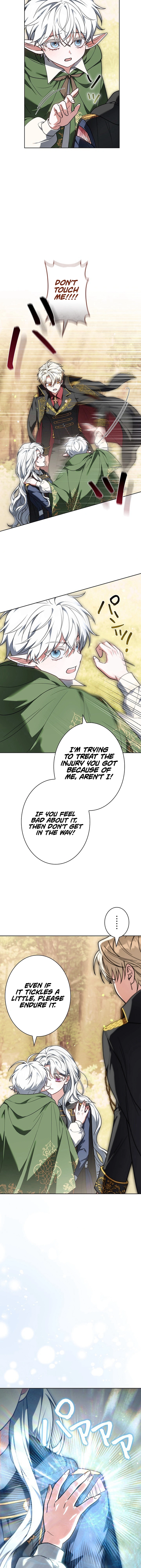 I Was Supposed to Be the Stalker Lady, But Somehow I’m Being Doted On Chapter 5 – Chapter 5 Page 9