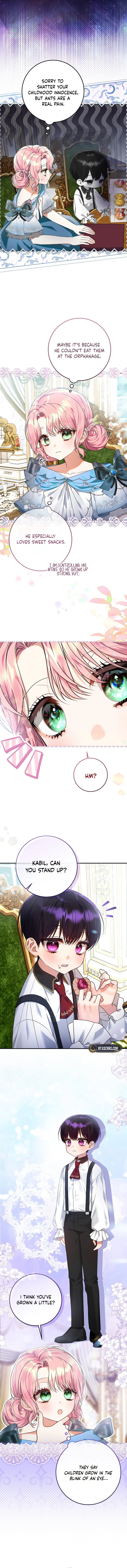 I’m Ready for Divorce! Chapter 3 Page 8
