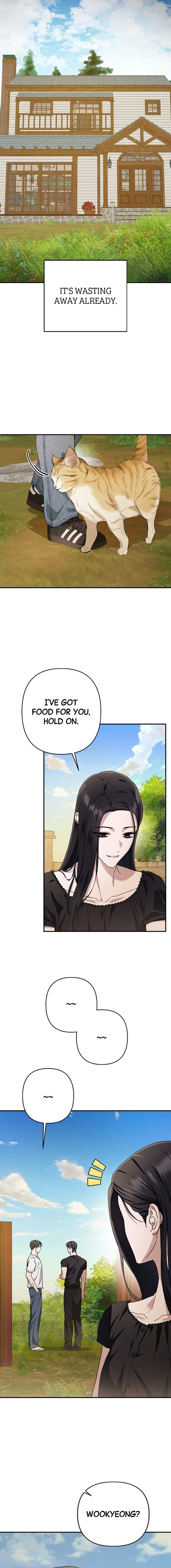 In the Shadow of the Spring Chapter 11 Page 17