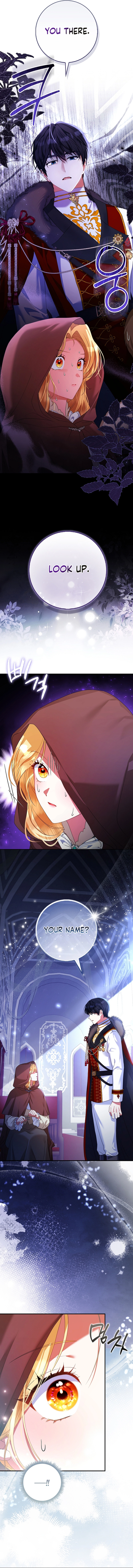 Not A Saint, But A Celestial Maiden Chapter 8 – Chapter 8 Page 12