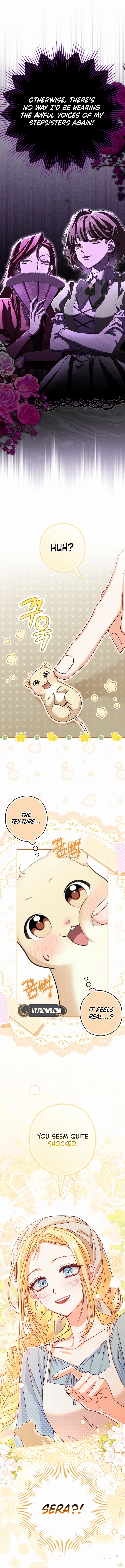 This wild mouse has taken Cinderella Chapter 1 Page 13