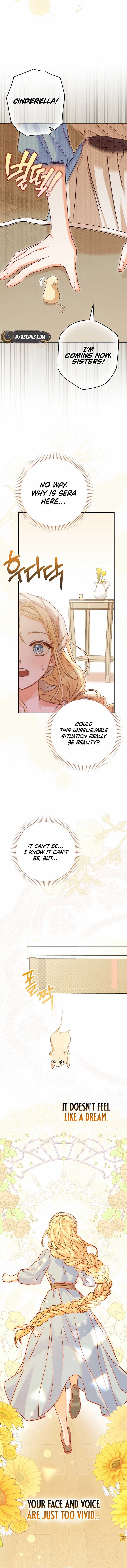 This wild mouse has taken Cinderella Chapter 1 Page 14