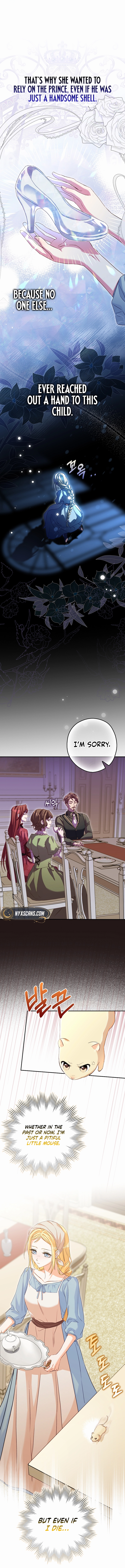 This wild mouse has taken Cinderella Chapter 1 Page 19