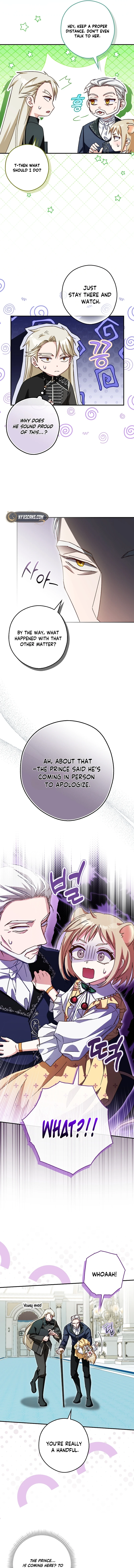 This wild mouse has taken Cinderella Chapter 17 Page 12