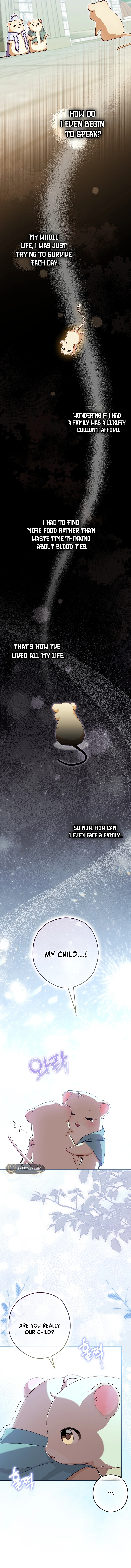 This wild mouse has taken Cinderella Chapter 6 Page 7