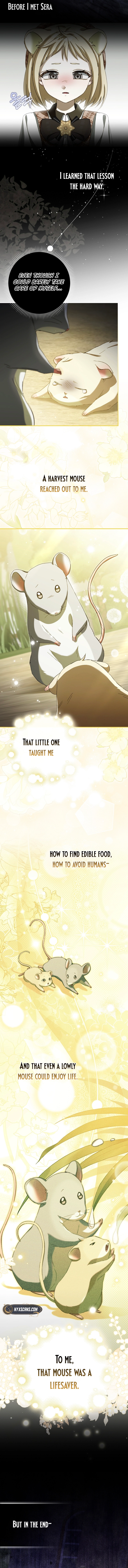 This wild mouse has taken Cinderella Chapter 11 Page 9