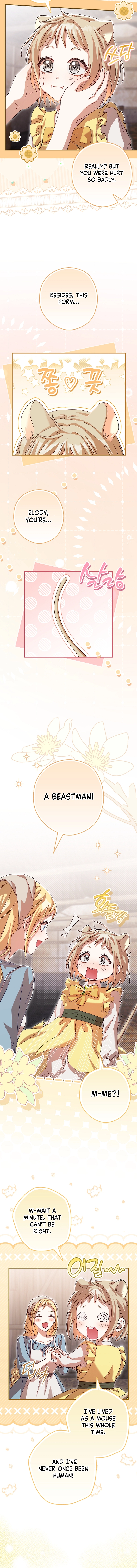 This wild mouse has taken Cinderella Chapter 3 Page 11