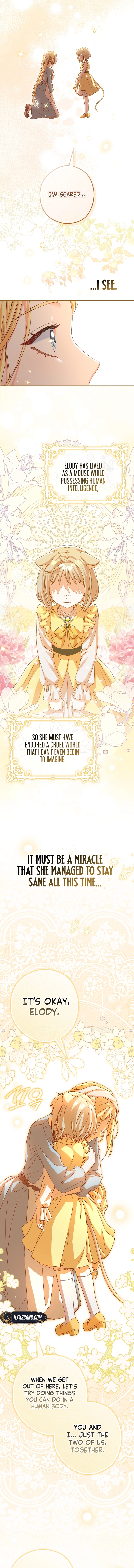 This wild mouse has taken Cinderella Chapter 3 Page 13