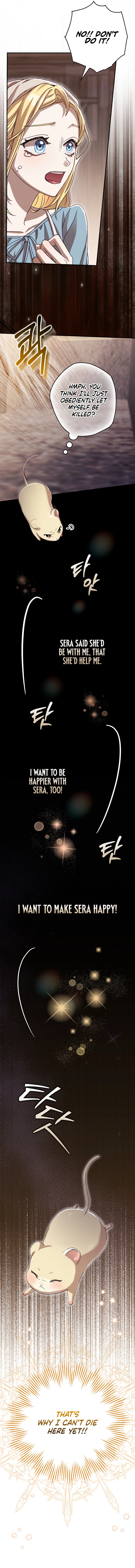 This wild mouse has taken Cinderella Chapter 3 Page 17