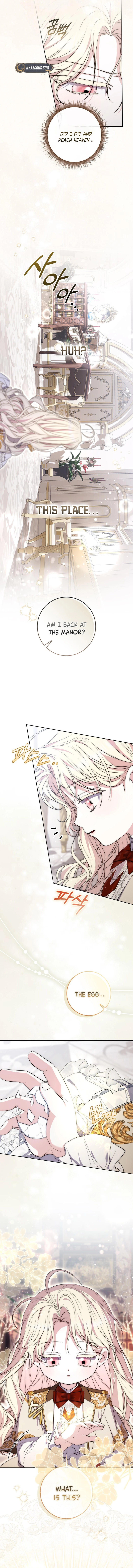 The Male Lead Is Unhealthily Obsessed With My Health Chapter 21 Page 16