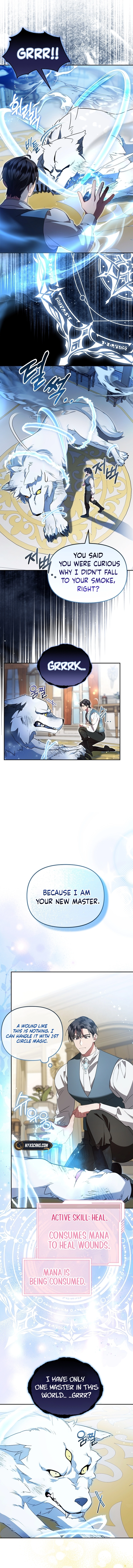 My Husband's a Possessed Hero Chapter 11 Page 5