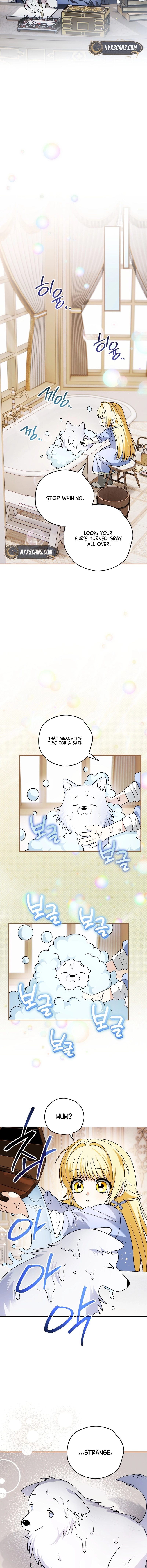 To My Beloved Wolf Chapter 18 Page 11