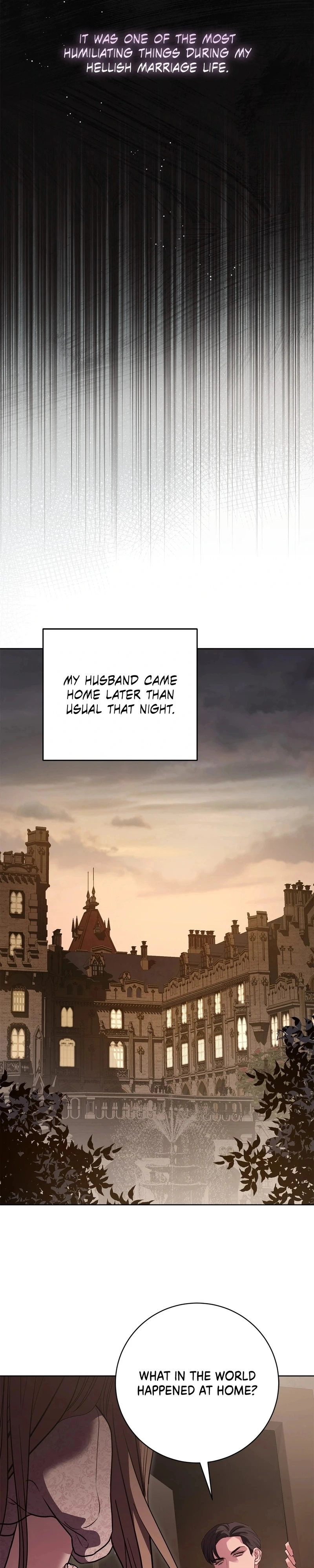 To My Husbands Mistress Chapter 64 Page 24