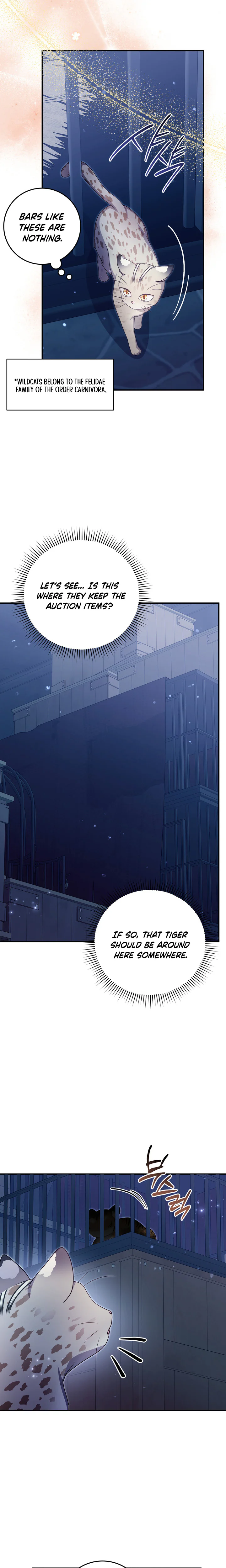 Baby Wildcat of the Tiger Clan Chapter 16 Page 8