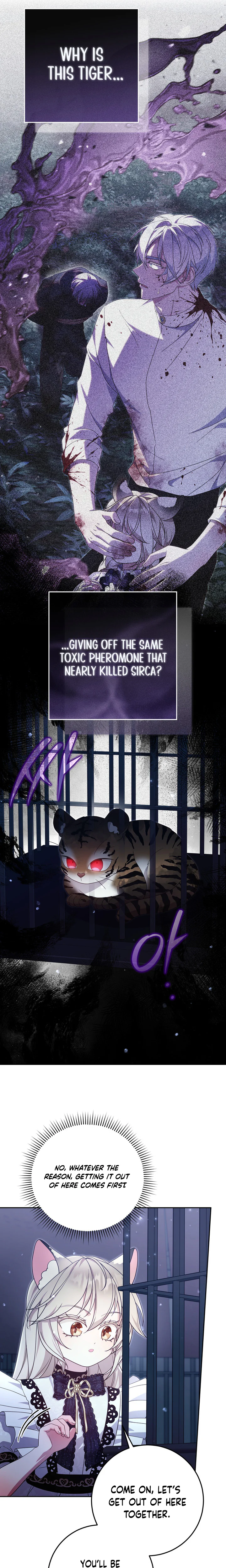 Baby Wildcat of the Tiger Clan Chapter 16 Page 13