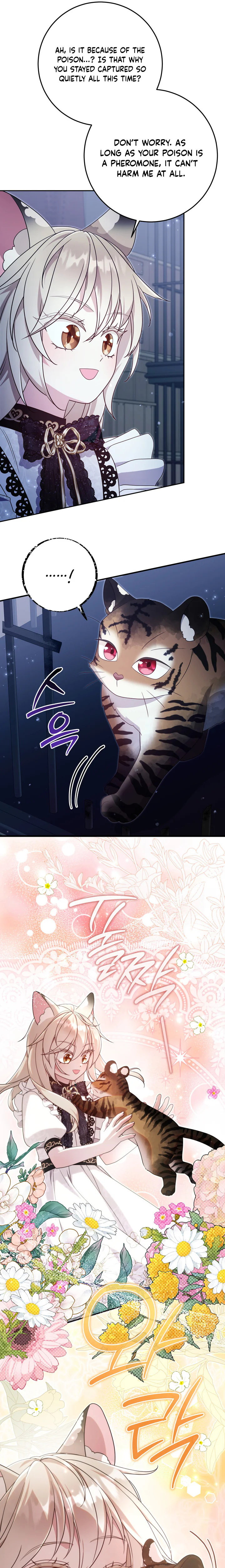 Baby Wildcat of the Tiger Clan Chapter 16 Page 19
