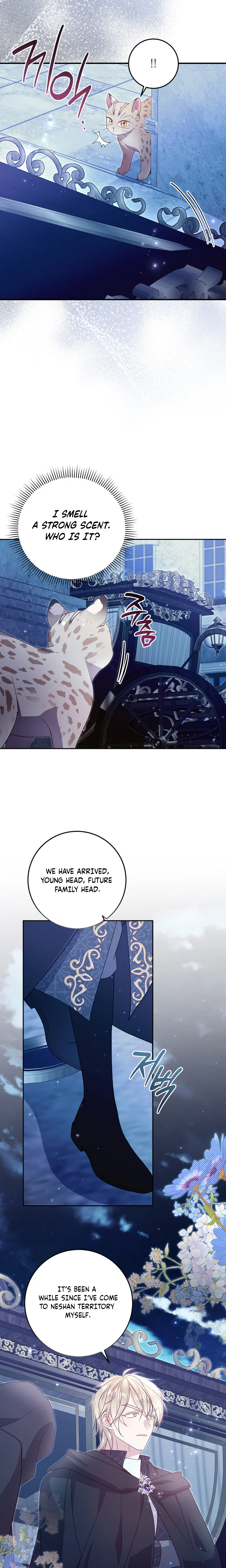 Baby Wildcat of the Tiger Clan Chapter 15 Page 12
