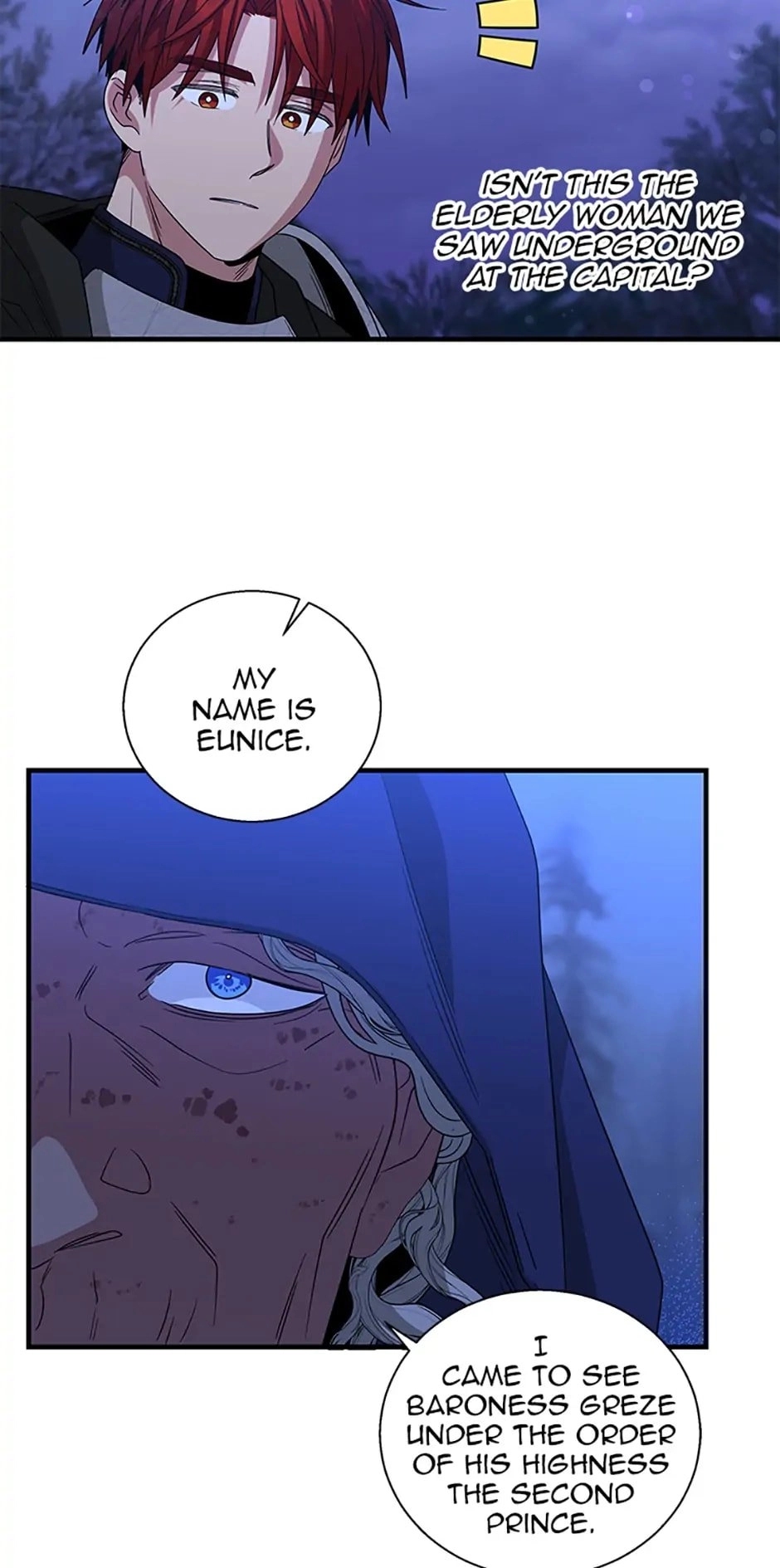 Baroness Goes On Strike Chapter 117 – I Need My Wife Page 35