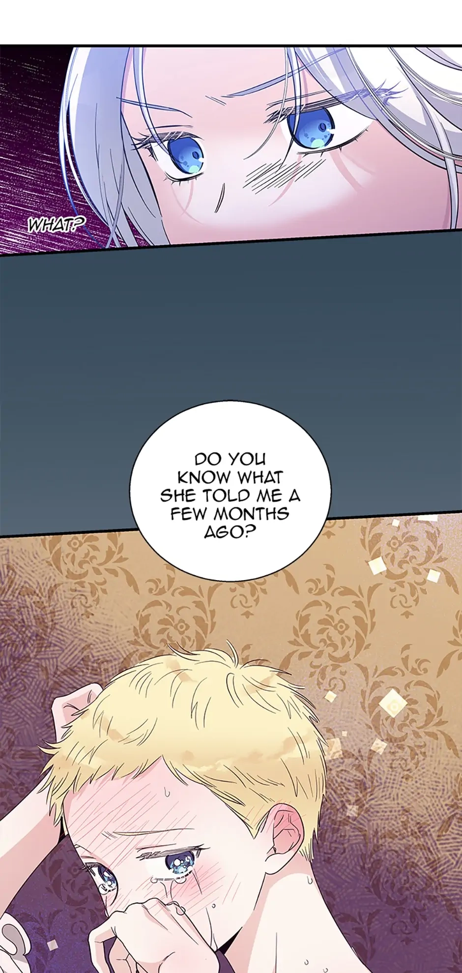 Baroness Goes On Strike Chapter 88 – The Family Secret Page 23