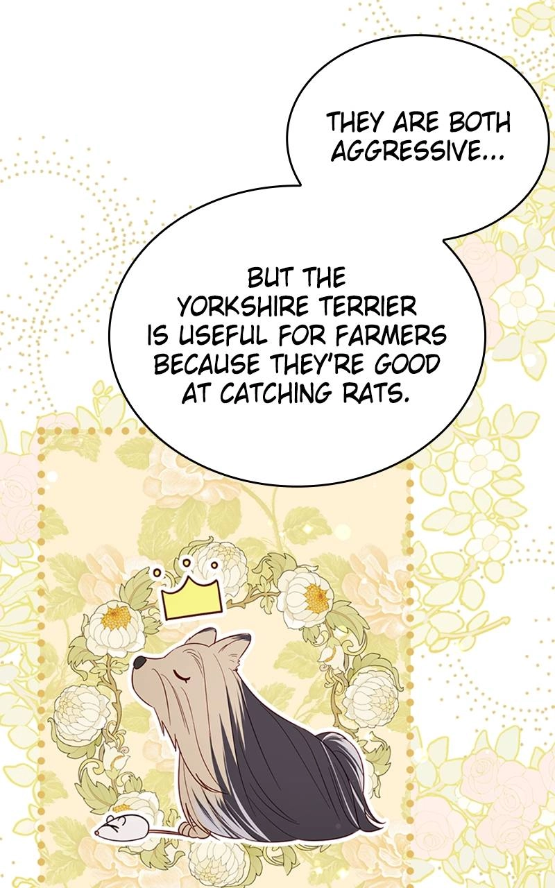 Fallen to Paradise Chapter 15 Page 64