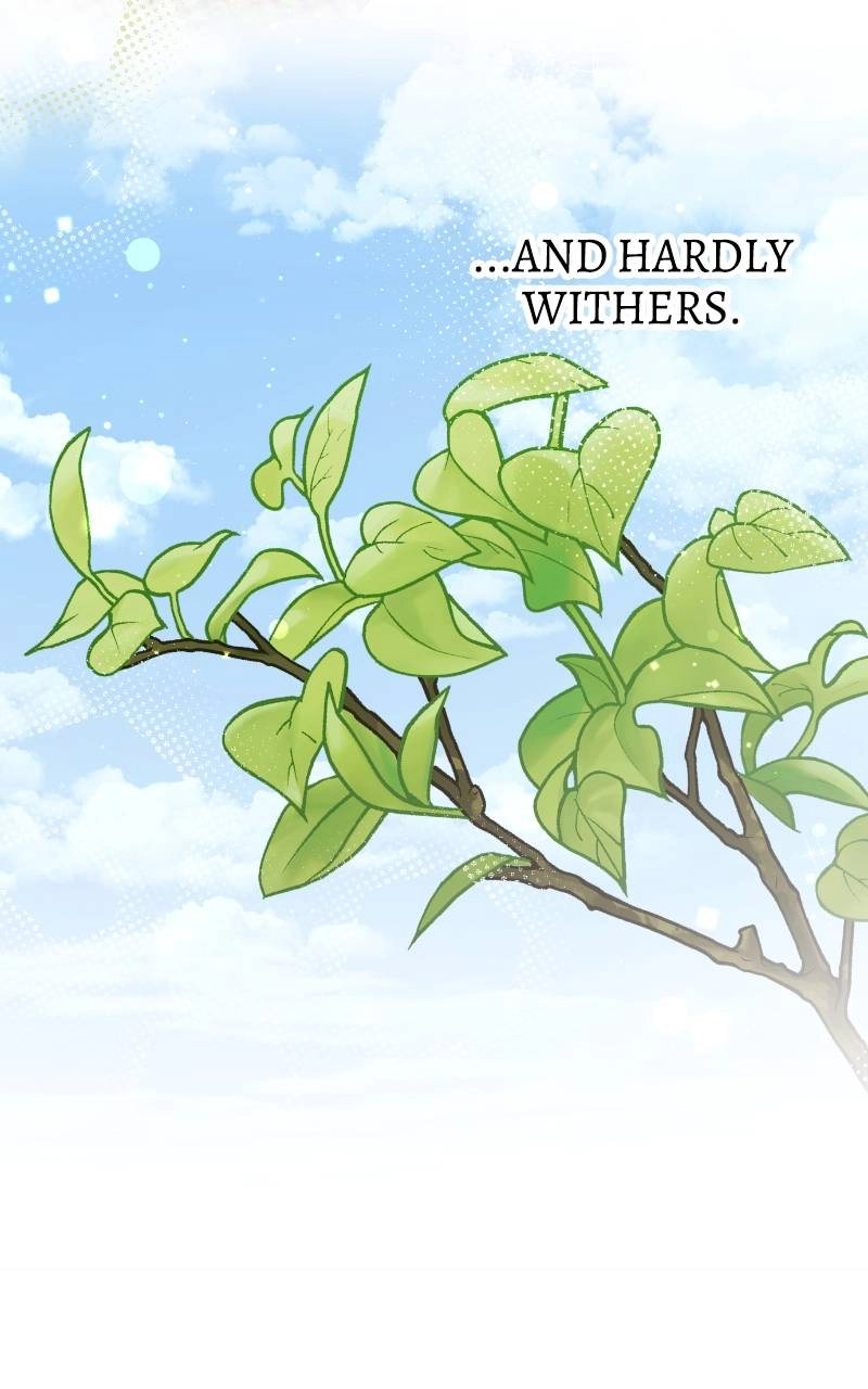 Fallen to Paradise Chapter 18 Page 81