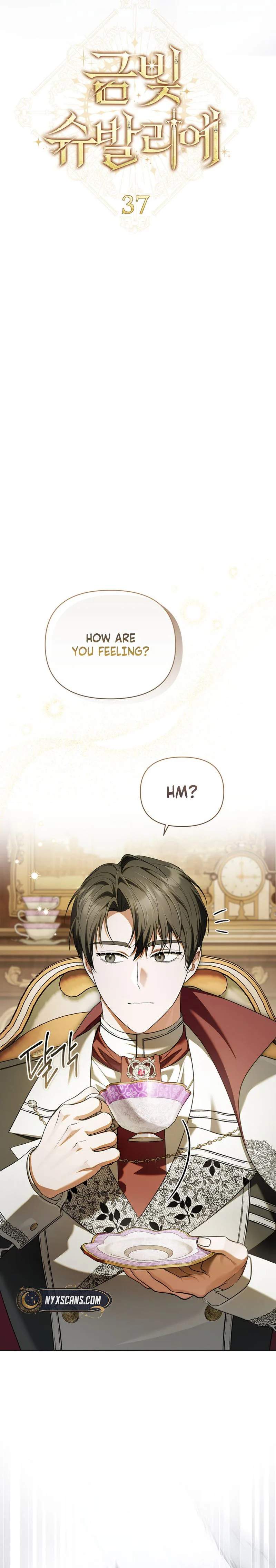 Golden Chevalier Chapter 37 Page 10