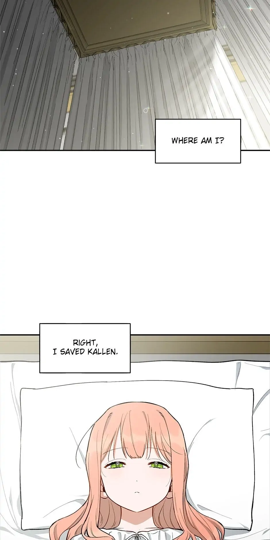 How to Be a Dark Hero's Daughter Chapter 14 Page 21