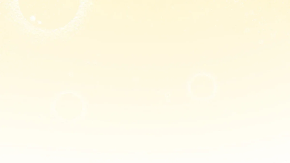 Chapter 19