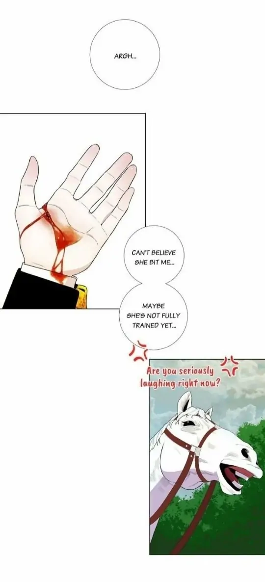 Lady to Queen Chapter 23 Page 16