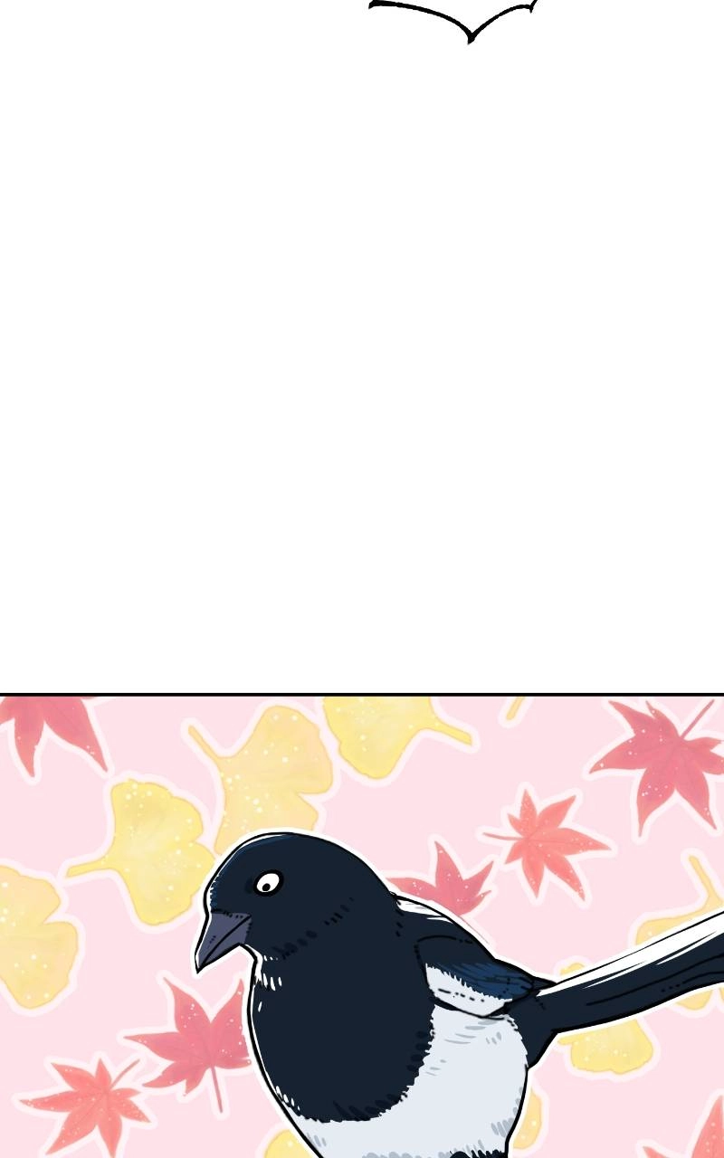 Maybe Meant to Be Chapter 82 - They're Gone Page 56