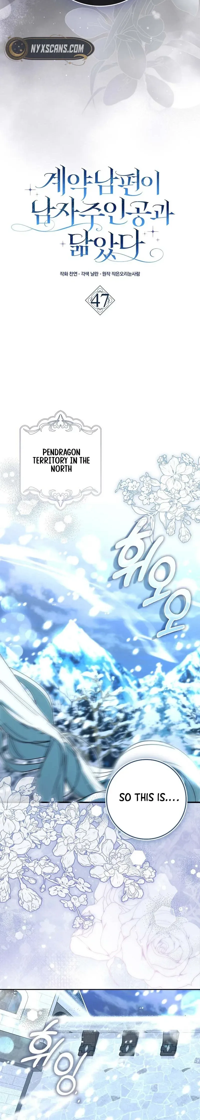 My Contract Husband Resembles the Male Protagonist Chapter 47 Page 17