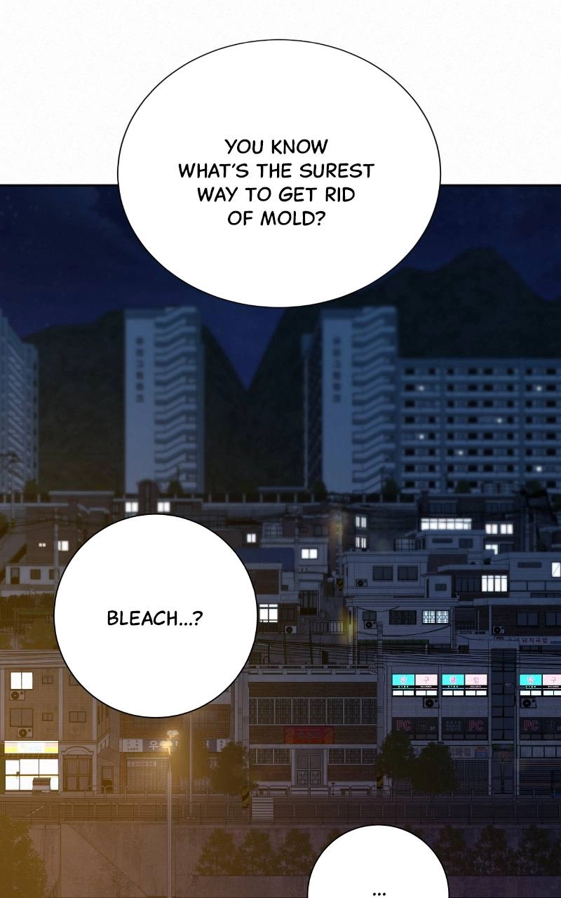 Operation: True Love Chapter 99 Page 103