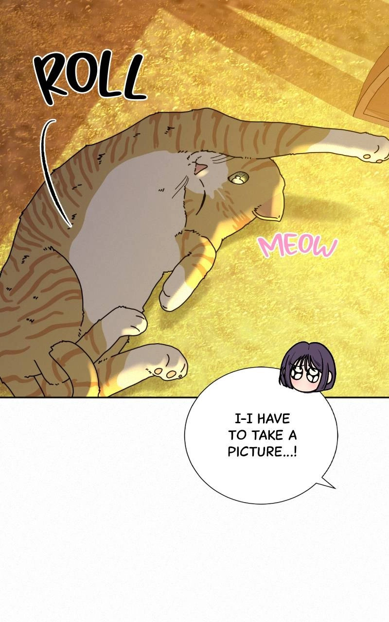 Operation: True Love Chapter 99 Page 43