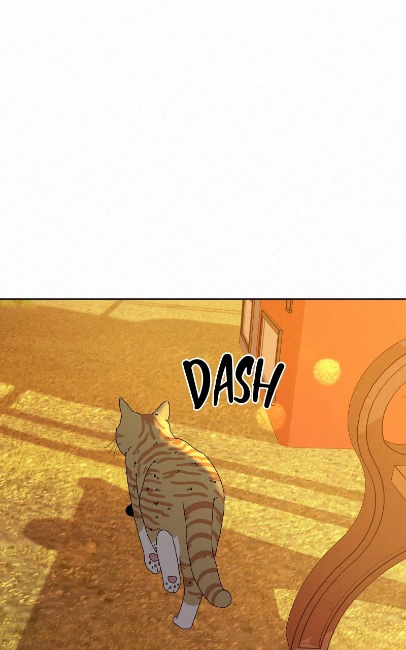 Operation: True Love Chapter 99 Page 60