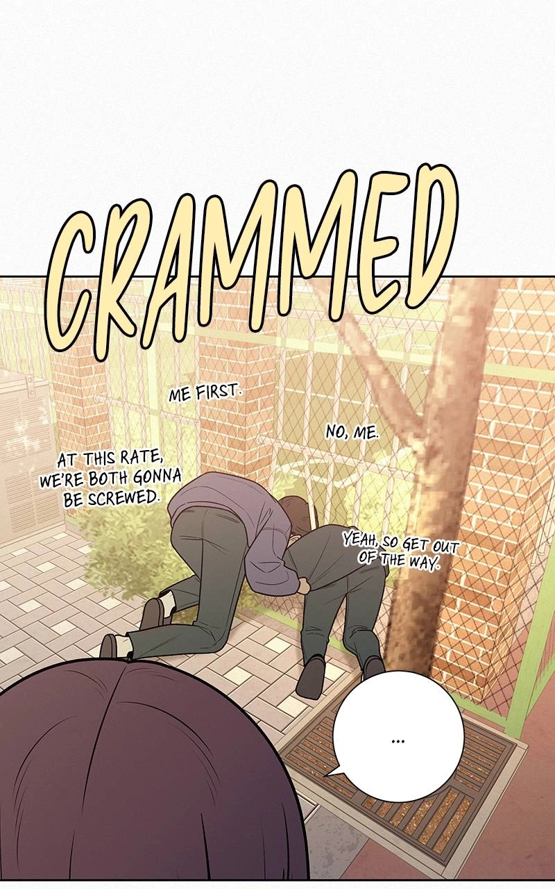 Operation: True Love Chapter 44 Page 95