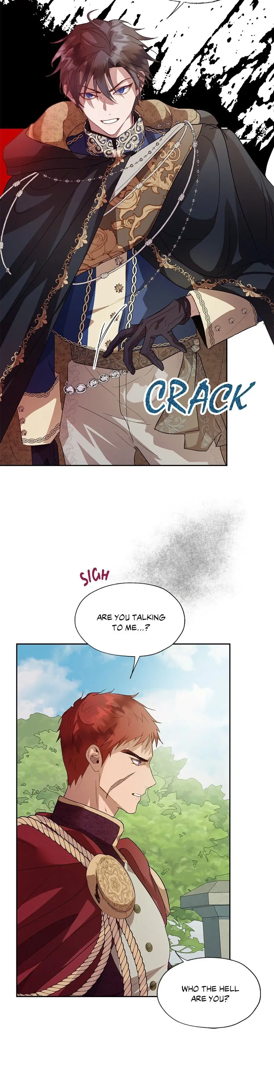 Roxana: The Way to Protect the Female Lead's Older Brother Chapter 31 Page 17