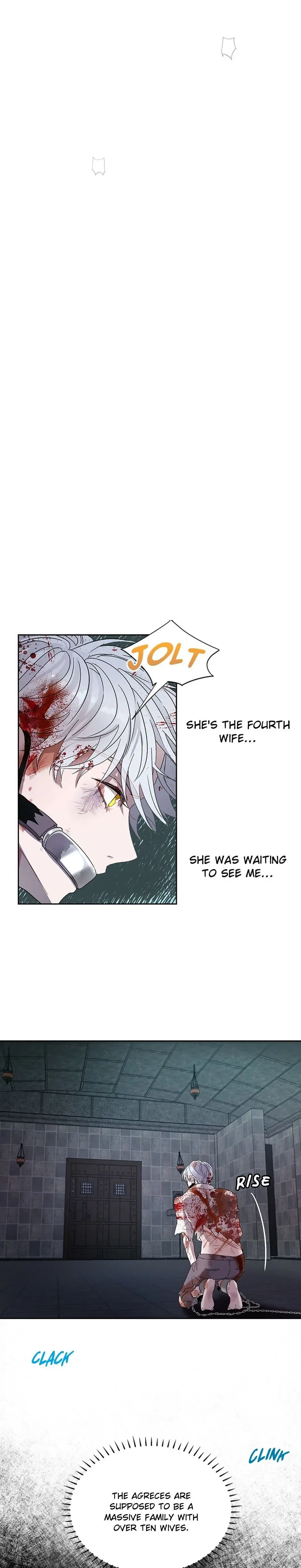 Roxana: The Way to Protect the Female Lead's Older Brother Chapter 6 Page 16