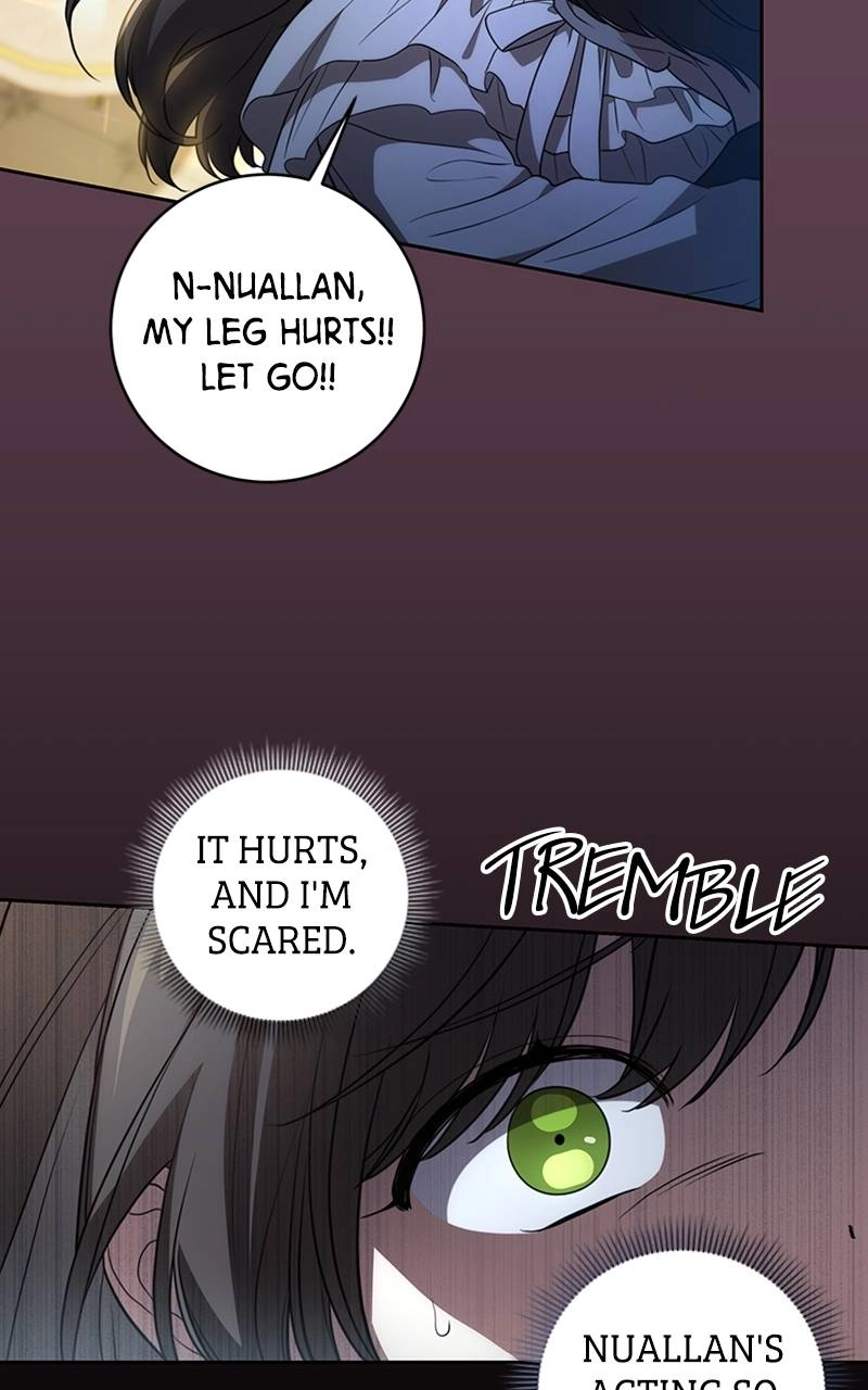 The Price Is Your Everything Chapter 26 - Nuallan's Wicked Scheme Page 35