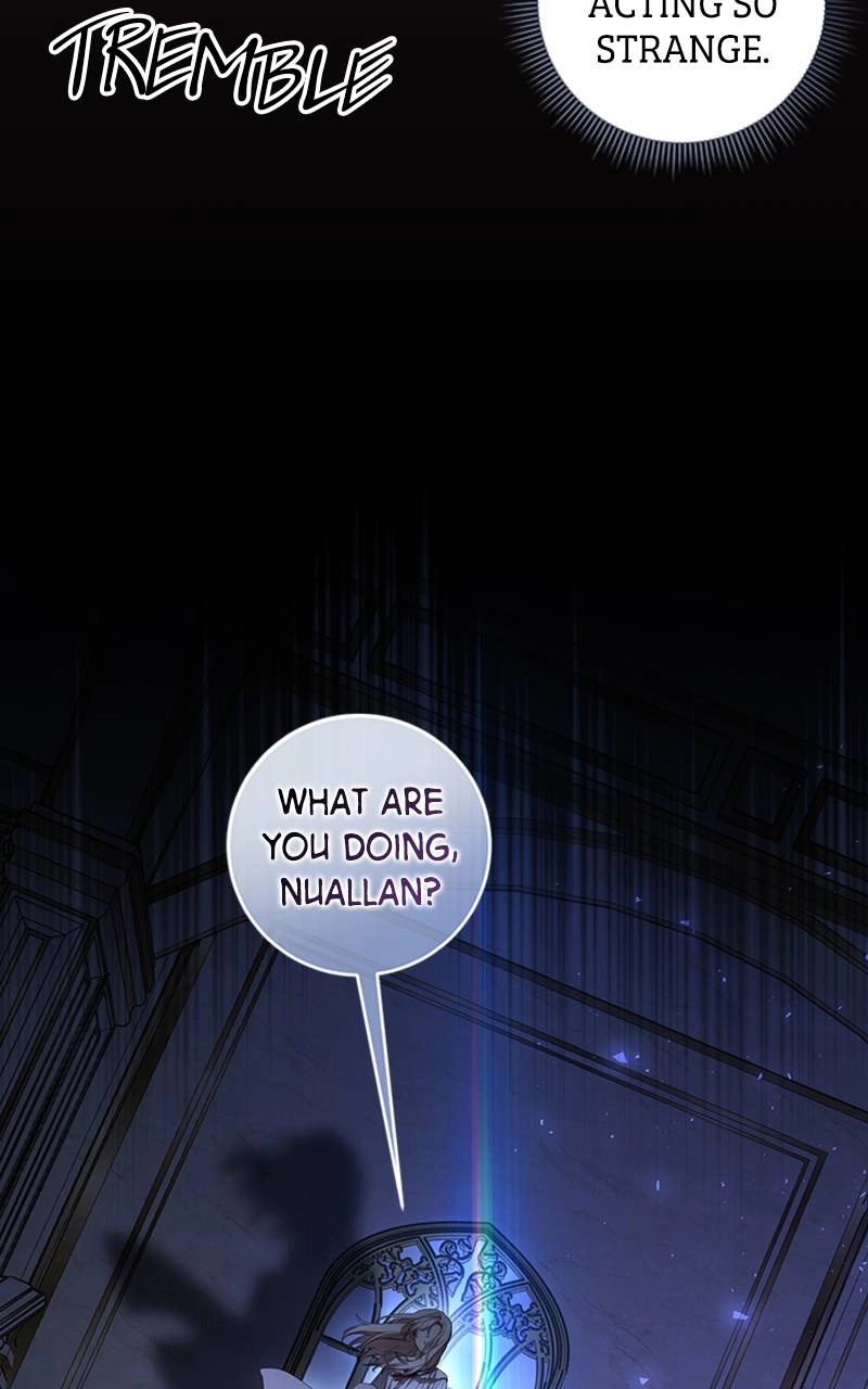 The Price Is Your Everything Chapter 26 - Nuallan's Wicked Scheme Page 36