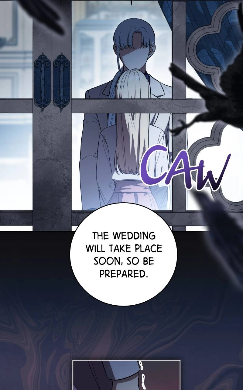 The Price Is Your Everything Chapter 34 - A Kidnapped Nerys Page 11