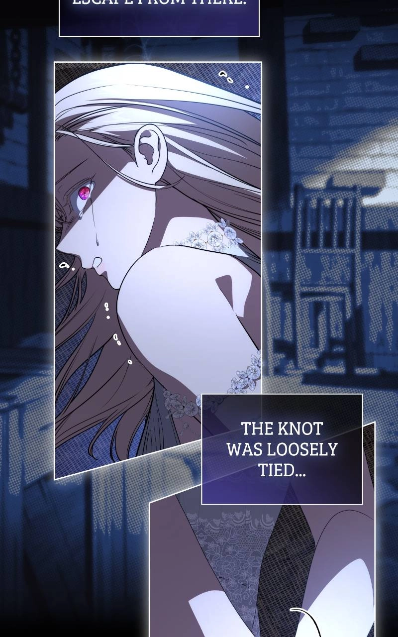 The Price Is Your Everything Chapter 34 - A Kidnapped Nerys Page 41