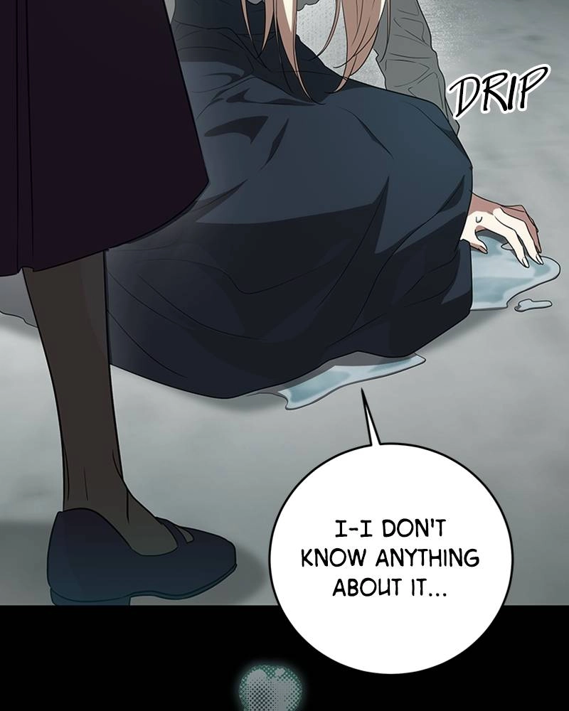 The Price Is Your Everything Chapter 3 - The Reason of My Return Page 15