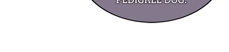 The Price Is Your Everything Chapter 11 - I Want You Page 12