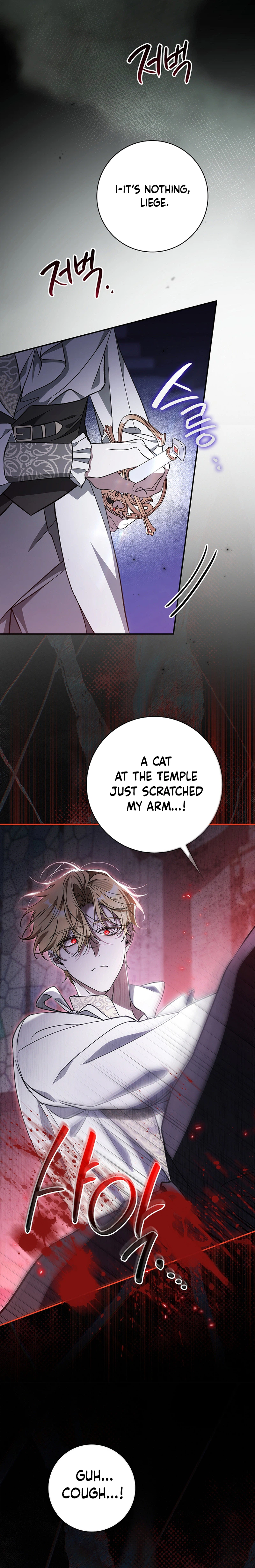 The Villain Family’s Strongest Butler Chapter 16 Page 27